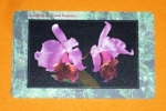 Zobrazit detail zboží: Orchidea 2 - 04/01.99 (Telefonní karty)
