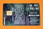 Orchidea 4 - 41/09.99