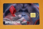 Zobrazit detail zboží: Orangutan 1 - 33/06.96 (Telefonní karty)