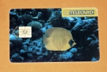 Zobrazit detail zboží: Chaetodon - 78/10.96 (Telefonní karty)