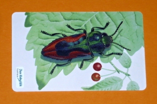 Zvětšit