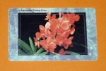 Zobrazit detail zboží: Orchidea 3 - 17/03.99 (Telefonní karty)