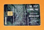 Orchidea 3 - 17/03.99