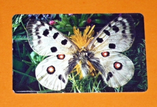 Zvětšit