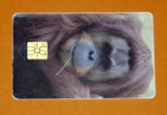 Zobrazit detail zboží: Orangutan 2 - 59/11.97 (Telefonní karty)