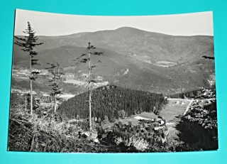 Zvětšit
