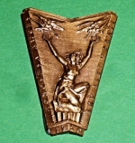 Zobrazit detail zboží: Sedmý všesokolský slet v Praze 1920 (Skautské + Sokolské)