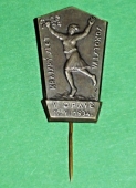 Zobrazit detail zboží: Krajský slet sokolstva v Opavě 17.VI.1934 (Skautské + Sokolské)