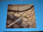 Zobrazit detail zboží: Brontosauři : Na kameni kámen (Country & Folk)