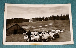 Zvětšit