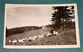 Zvětšit