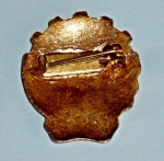 Odznak : Zdravotník ČSČK