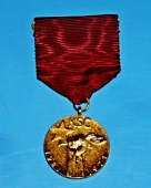 Medaile k 50. výročí založení KSČ 1921 - 1971 + etuje