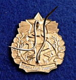 Vzorný požárník II.stupeň