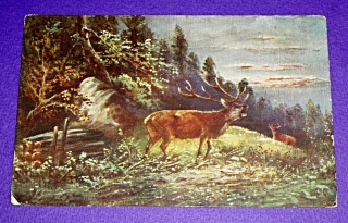 Zvětšit