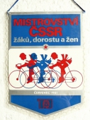 Zobrazit detail zboží: Mistrovství ČSSR 1981 TJ HM Ostrava (RETRO Sportovní)