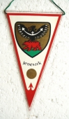 92.Skok Přes Kůži, OKD, SHD, Doly Kladno
