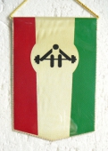 Magyar Sůlvemelö Szövetség Hungarian