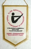Zobrazit detail zboží: Vzorný oddíl ČSTV I.stupně,  TJ ŽD Bohumín Sportovní gymnastiky / ŽD Bohumín podnik ČS.-Sovětského přátelství, nositel Řádu Vítězného Února a Řádu práce (RETRO Sportovní)
