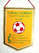 Zobrazit detail zboží: Turnaj v kopané o Zlatý pohár ZN 1981 (RETRO Sportovní)