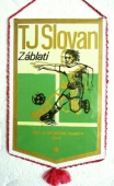 Zobrazit detail zboží: TJ SLOVAN Záblatí fotbal - Držitel bronzové plakety ČSTV / ŽDB - Železárny a drátovny Bohumín (TJ ŽDB fotbal, hokej)