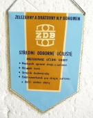 TJ ŽD Bohumín oddíl atletika