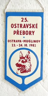 Zvětšit