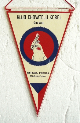 Zvětšit