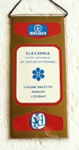 Mezinárodní Rok Invalidů 1981