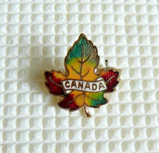 Zvětšit
