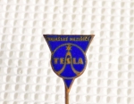 Zobrazit detail zboží: Podnikové : TESLA Vlašské Meziříčí (Odznaky Retro)