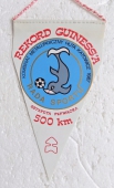 Zobrazit detail zboží: Rekord Guinessa (RETRO Sportovní)
