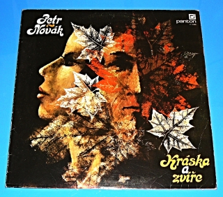 Zvětšit