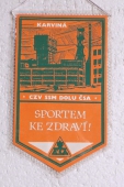Zobrazit detail zboží: CZV SSM Dolu ČSA Karviná /  XV. ročník mezinárodního turnaje o srdce MS  OV SSM Karviná 1981 (RETRO Hornické)