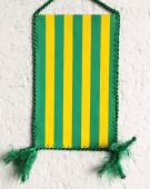 TJ ZVL Žilina