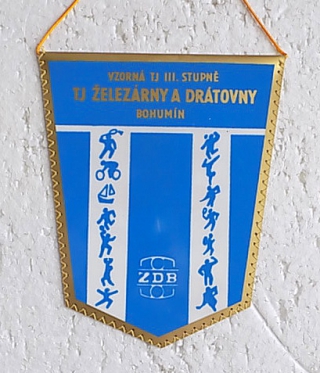 Zvětšit