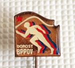 Zobrazit detail zboží: Sport : BPPOV Dorost (Odznaky Retro)