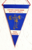 World Cup 4. ročník Československého Poháru Bohumín 1985 / TJ Železáren a Drátoven nositel titulu Vzorná TJ oddíl vzpírání