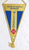 Zobrazit detail zboží: TJ Milevsko ZVVL (RETRO Sportovní)