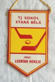 Zobrazit detail zboží: TJ SOKOL Stará Bělá oddíl ledního hokeje (RETRO Sportovní)
