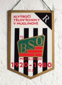 Zobrazit detail zboží: 60 výročí TJ BSO Muglinov 1920 - 1980 / OKR - Báňské Stavby k.p. Ostrava (RETRO Sportovní)