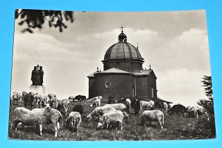 Zvětšit