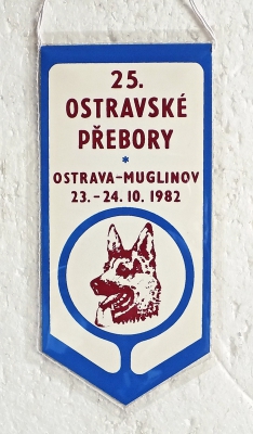 Zvětšit