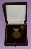 Zobrazit detail zboží: Za zásluhy o rozvoj čs. tělesné výchovy a sportu + miniatura - bronzový (Sportovní)