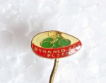 Zobrazit detail zboží: Sport : DYNAMO ZČE Plzeň (Odznaky Retro)