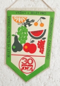 Zobrazit detail zboží: 30 let Ovoce - Zelenina (RETRO Podnikové)