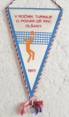 Olšanské Papírny  národní podnik Olšany / V. ročník o pohár GŘ PPC Olšany 1977