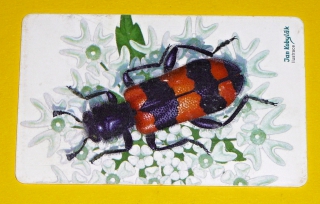 Zvětšit