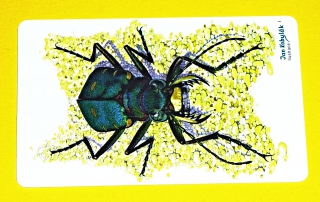 Zvětšit