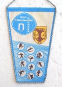 Zobrazit detail zboží: BSG Röhrenwerk Neuhaus NDR (RETRO Sportovní)